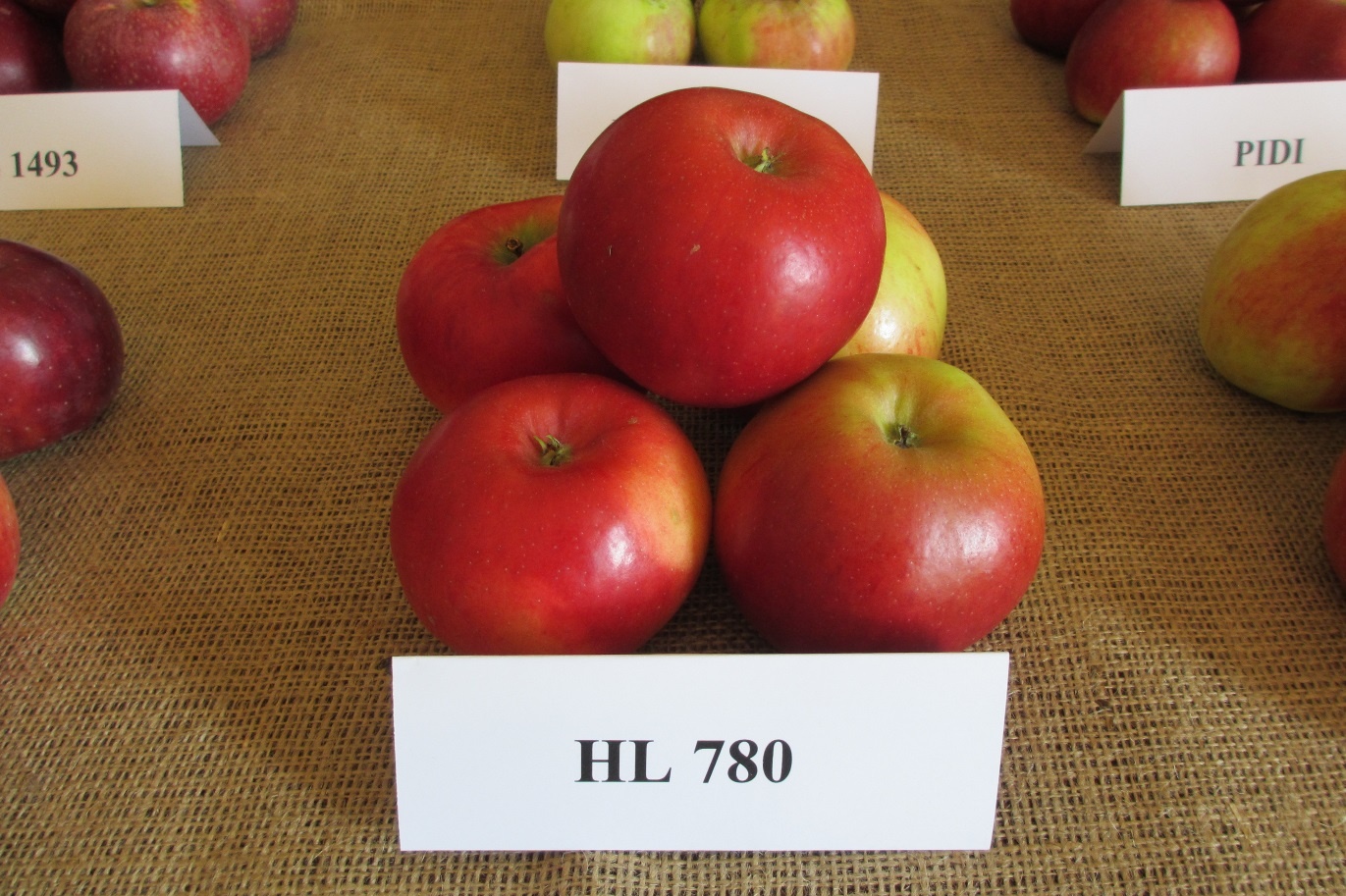 Výsledky jarní degustace jablek